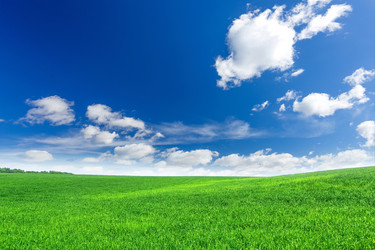 Similar image 11448202