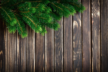 Similar image 11448325