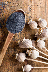 Similar image 11448345