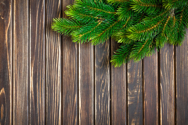 Similar image 11448365