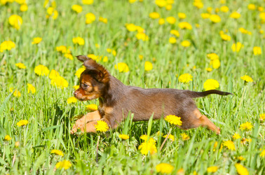 Similar image 11445334