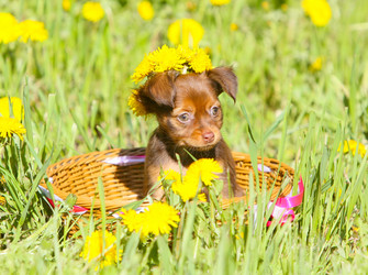 Similar image 11445336