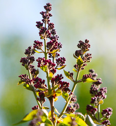 Similar image 11445337