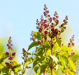 Similar image 11445338