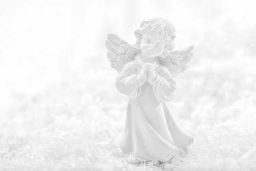 Similar image 11448843