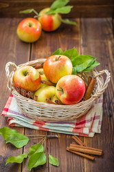 Similar image 11447686