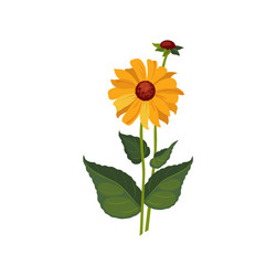 Similar image 11452646