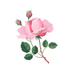 Similar image 11452650