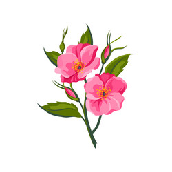 Similar image 11452691