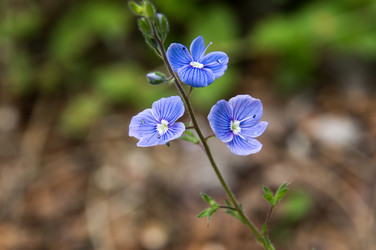 Similar image 11445621