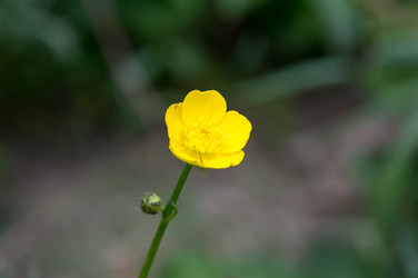 Similar image 11445622