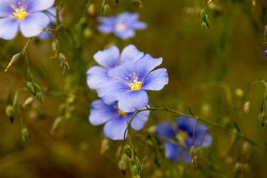 Similar image 11445623