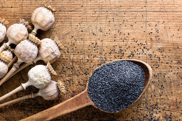 Similar image 11452882