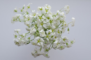 Similar image 11445306