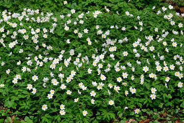 Similar image 11446000