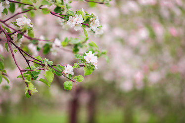 Similar image 11467590