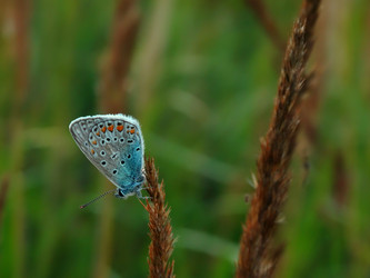 Similar image 11446278