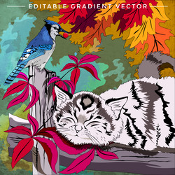 Similar image 11446362