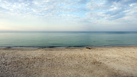 Similar image 11445341