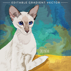 Similar image 11446373