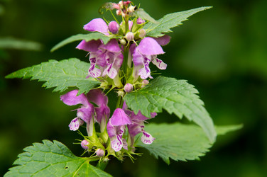 Similar image 11446379