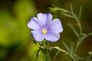 Similar image 11446381