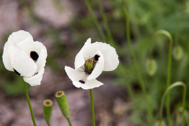 Similar image 11446382