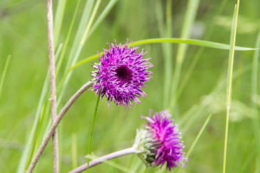 Similar image 11446383