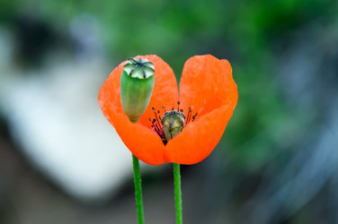 Similar image 11446384