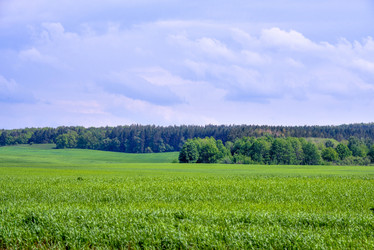 Similar image 11445705