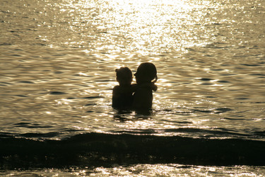 Similar image 11445706