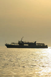 Similar image 11445646