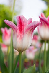 Similar image 11454092