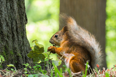 Similar image 11454095