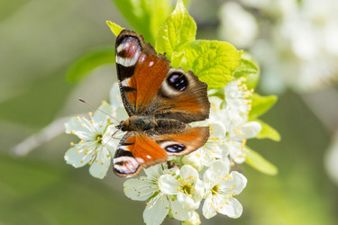 Similar image 11454293