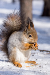 Similar image 11454082