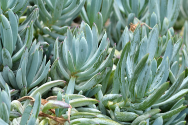 Similar image 11454937