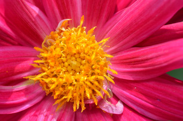 Similar image 11454957