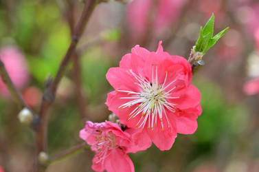 Similar image 11454993