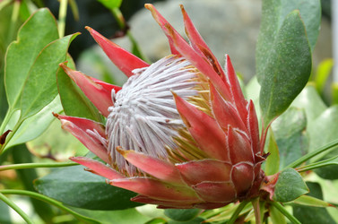 Similar image 11455035