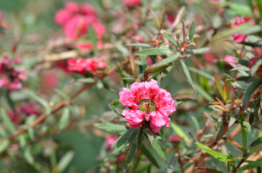 Similar image 11455115