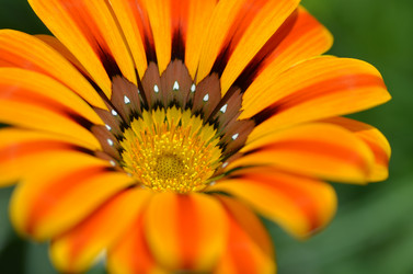 Similar image 11455155