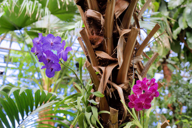 Similar image 11453028