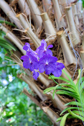 Similar image 11453033