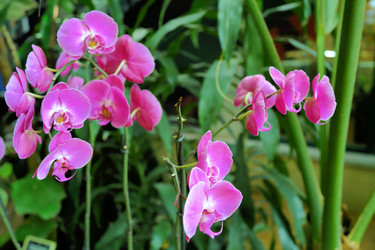 Similar image 11453034