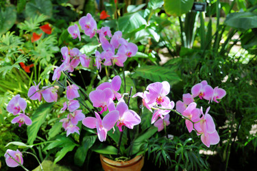 Similar image 11453035