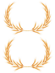 Similar image 11453621