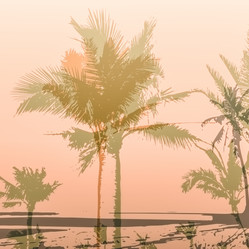 Similar image 11454509