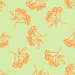 Similar image 11454567