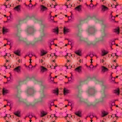 Similar image 11454585